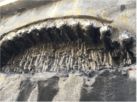 Digging Deeper – August 2024