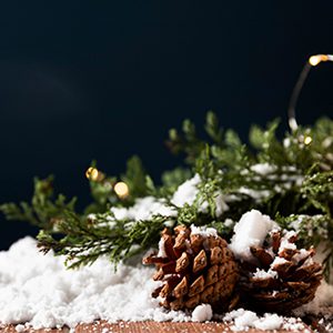 Digging Deeper – December 2022